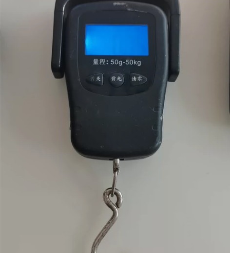 手提称,可称50克到50公斤,快递公司专用...