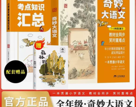 抖音同款 奇妙大语文1-6年级总复习全套2...