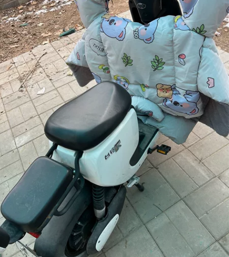 台铃电动车一辆 48v20锂电池 冬天跑二...