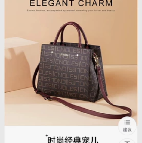 蔻一很适合妈妈们提的手提包，容量大，低调奢...