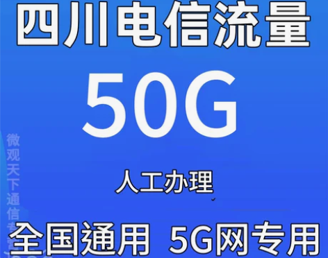 四川电信流量包50G当月有效中国电信流量充...