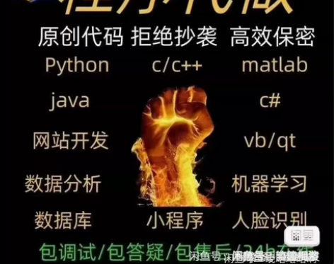 python代编程matlab软件开发代编...