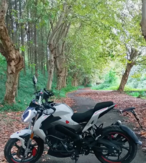 准备慢出我的小迅龙了，买了一年零几个月，加...