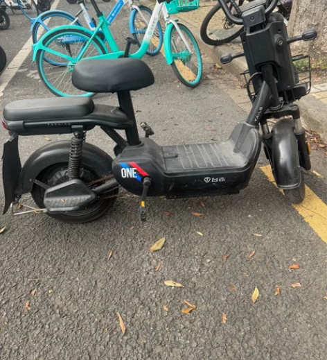 个人闲置 台铃电动车; 只在校园里骑行,使...