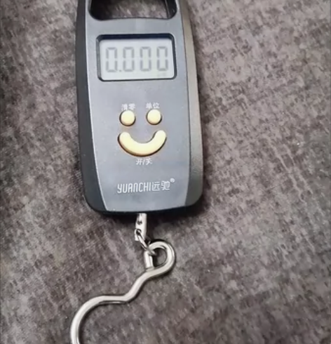 全新家用手提电子秤便携高精度弹簧秤吊挂勾手...