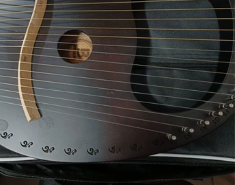 莱雅琴男女初学者16弦小众乐器原木19弦小...