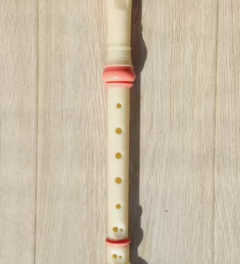 奇美竖笛德式高音8孔小学生用初学者儿童入门...