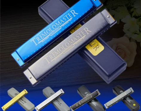 口琴24孔初学者成人儿童学生用练习入门演奏...