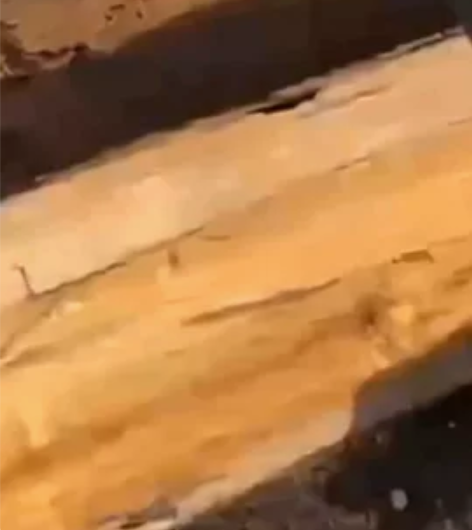 德国进口电锤劈柴神器家用农村冲击钻劈材钻头...