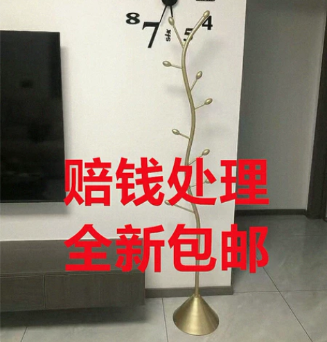 亏本高级收纳架不占空间挂衣落地床边艺术品架...