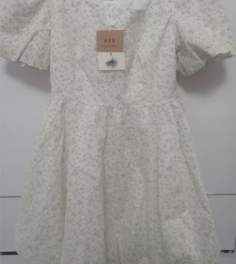 闲置 连衣裙 蓬蓬裙 购入价200 全新吊...