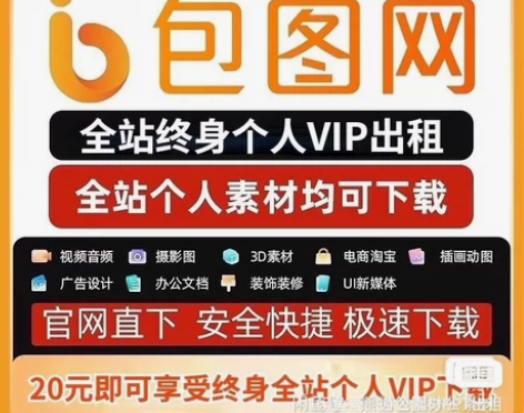 千库网/包图网/个人会员日租一天使用 全部...