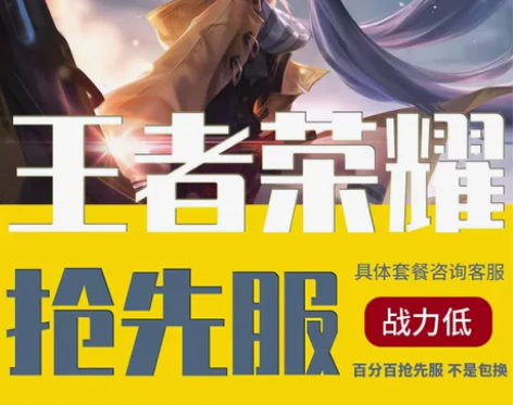王者荣耀抢先服号安卓金币满铭文水晶抢先服账...