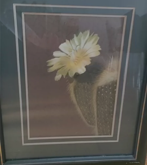 刺绣画 感兴趣的话点“我想要”和我私聊吧~...