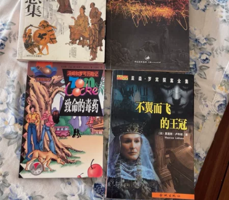 侦探、推理、罪案、恐怖类小说。5-20元一...