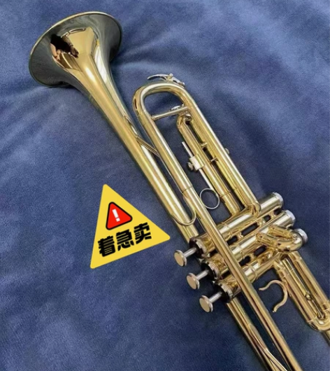 音乐学校专用雅马哈小号乐器YTR-8335...