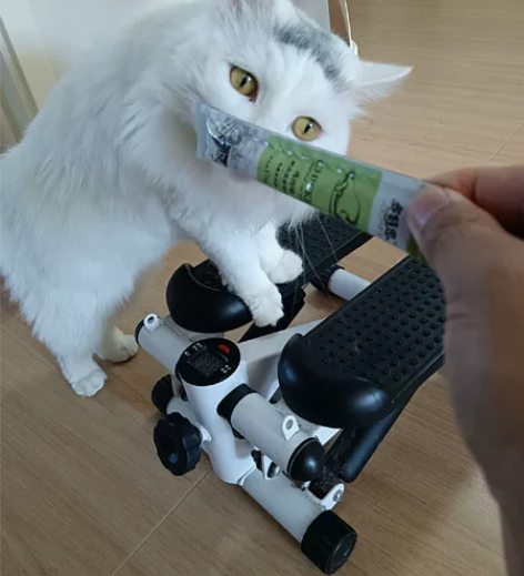 闲置踏步机转让。减肥利器，方便好用，可调力...