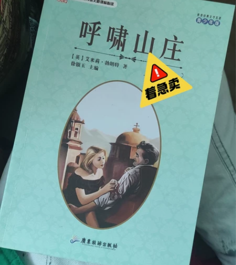 呼啸山庄 感兴趣的话点“我想要”和我私聊吧...