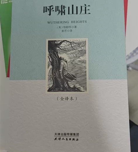 呼啸山庄 全新 名著 文学 儿童读物 感兴...
