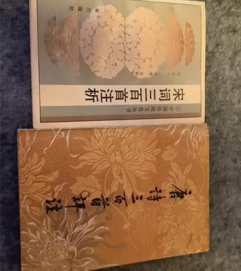 唐诗宋词三百首，原版中国传统文化丛书，个人...