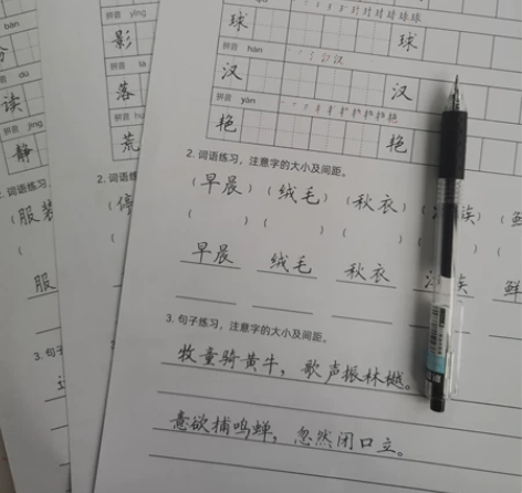 小学硬笔书法楷书考试卷面书写提分练习店子文...