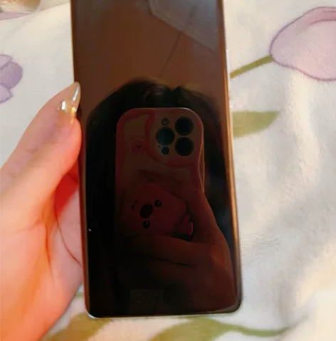 小米13pro 12+512g 无维修 成...