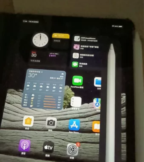 iPad mini6 粉色，256G，充电...