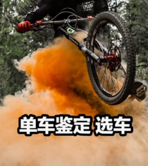 专业选车 鉴定 山地车鉴定 选车 估价 山...