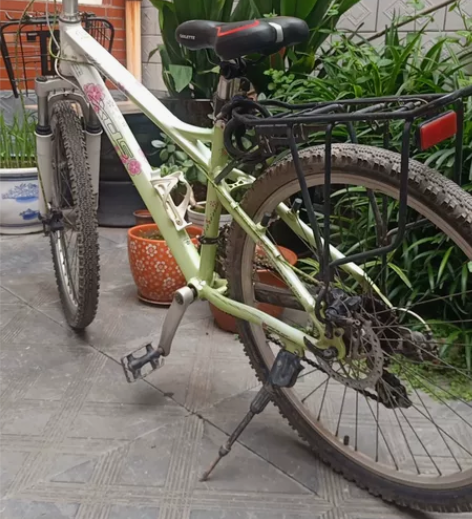 喜德盛通勒自行车，质量毋庸置疑 ！ 感兴趣...