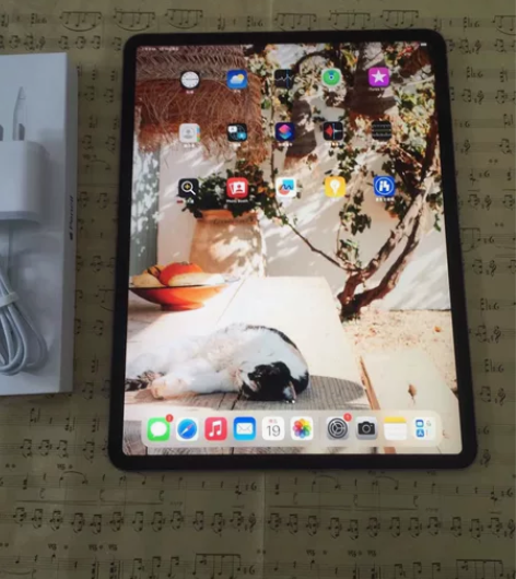 爱思全绿 2018款 ipad pro 1...