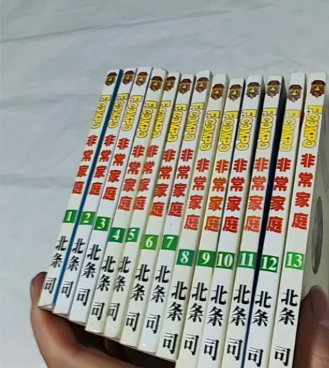非常家庭全15册（1-13册合售）北条司2...
