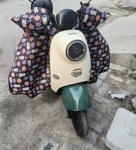 台铃电动车，低价转让，速度50迈以上，半年...