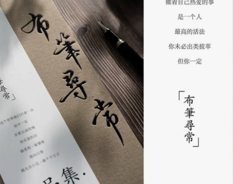 布笔寻常硬笔行书作品集精装练字书法字帖临摹...