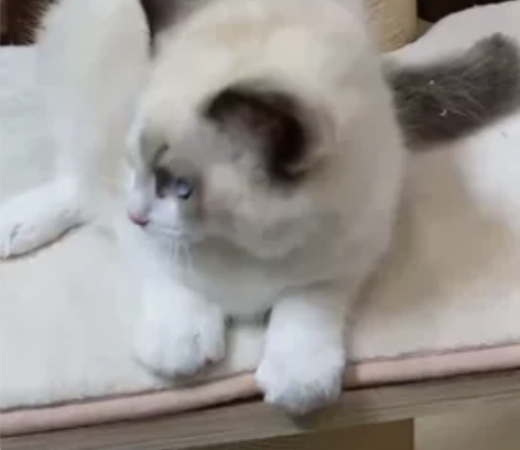 #游戏帐号# 云鹰飞将，年限曜，孙策的52...