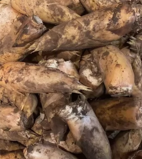 宜兴太华本地笋。 感兴趣的话点“我想要”和...