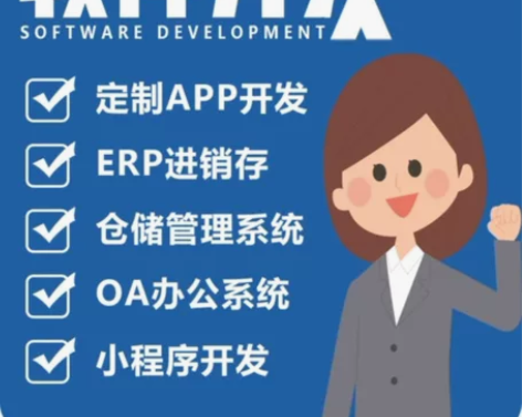 定制开发 系统建设，各类平台设计 平台建设...