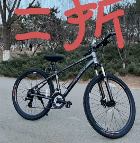 毕业回家，车带不回去低价处理 二手全新自行...