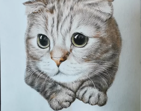 彩铅画 素描画 丙烯画手绘定制 有图就可以...