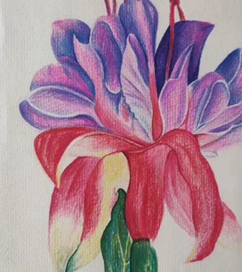 彩铅画装饰画一幅 16开大小 实物是非常浓...