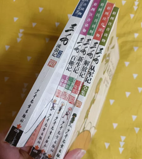 三毛流浪记彩图注音读物版平装，全套一共4本...