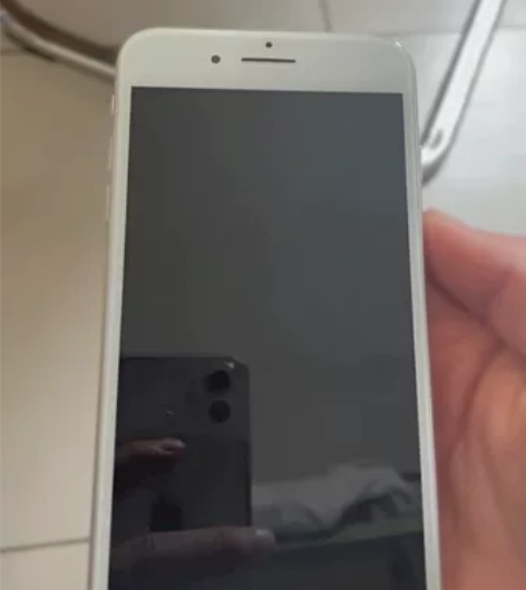 二手苹果8p有指纹 265GB白色全网通4G