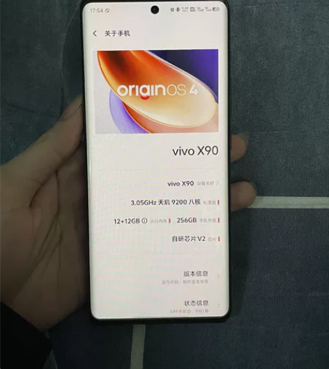 ?vivoX90 国行 256G 平时谨慎...