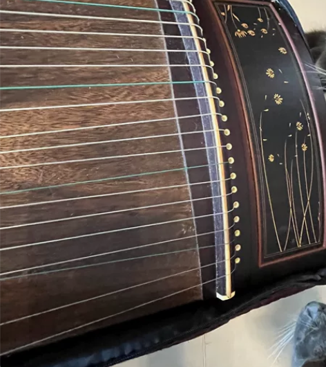 【标价出】二手古筝低价出 是六年级的时候两...