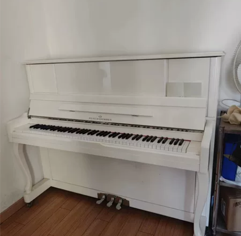 德国威廉，巴克豪斯钢琴低价出售，99新，音...