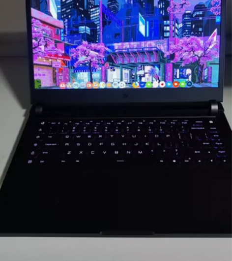 小米游戏本2018，i5-8300h，10...