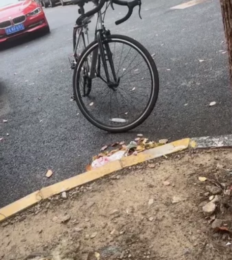 代步车迪卡侬rc100 之前买的上班 现在...