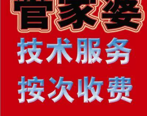 管家婆普及辉煌版2+TOP进销存软件技术服...