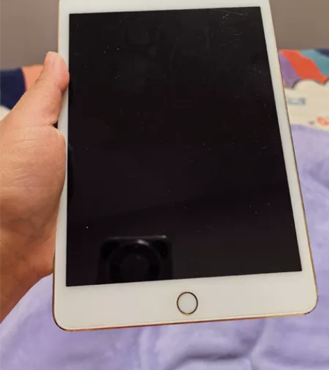 随缘出闲置了很久的iPad mini 4 ...