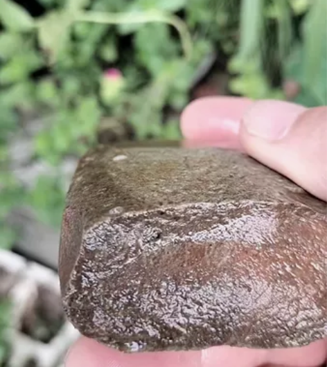 石器时代，鸡肝石吗，质地相当细，真搞不明白...