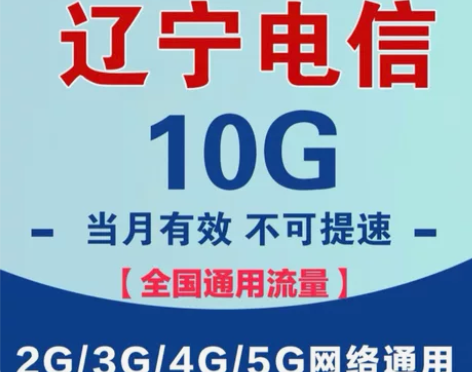 辽宁电信流量充值10G包全国通用支持4G5...